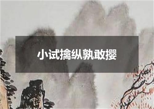 小试擒纵孰敢撄