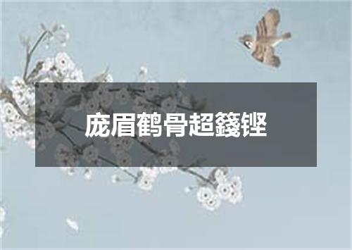 庞眉鹤骨超籛铿
