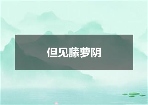 但见藤萝阴