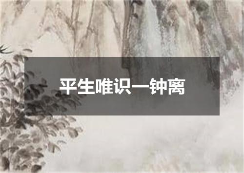 平生唯识一钟离