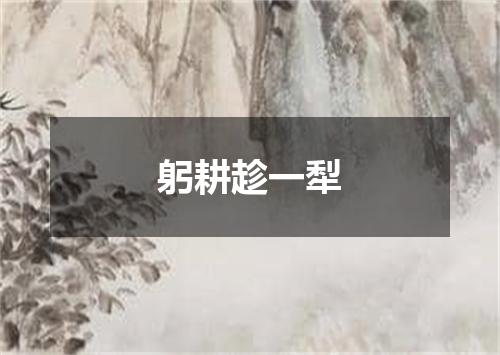 躬耕趁一犁