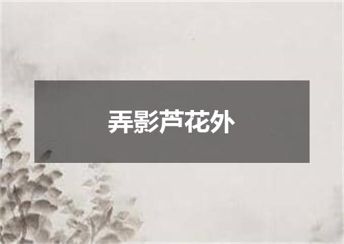 弄影芦花外