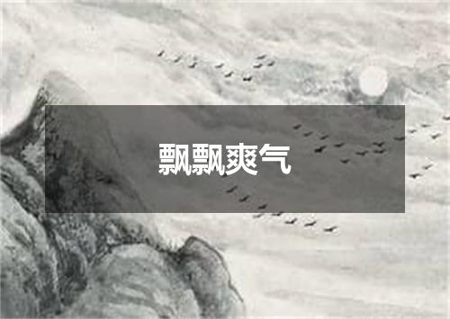 飘飘爽气