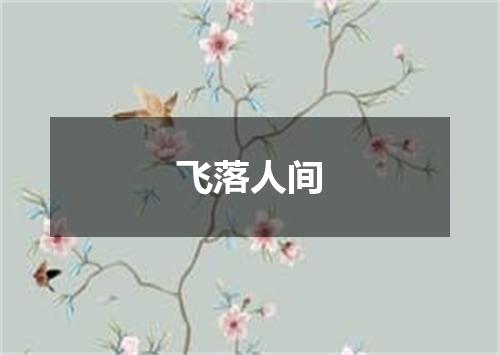 飞落人间