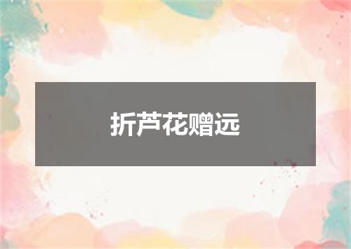折芦花赠远