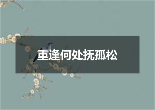 重逢何处抚孤松