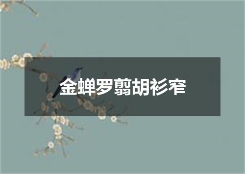 金蝉罗翦胡衫窄