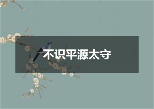 不识平源太守