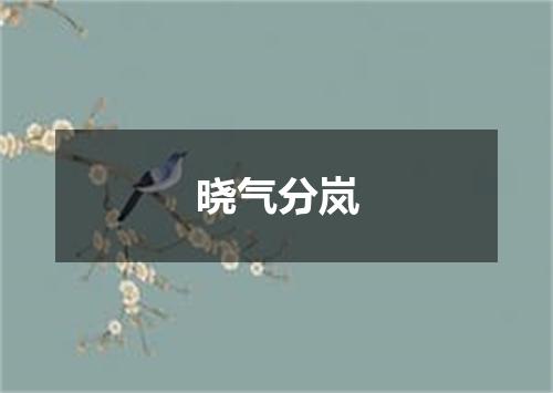 晓气分岚