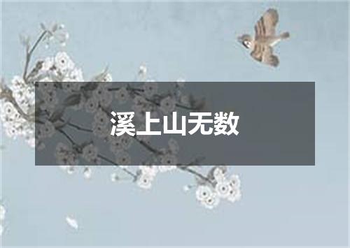 溪上山无数