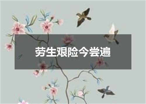 劳生艰险今尝遍