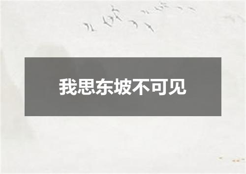 我思东坡不可见