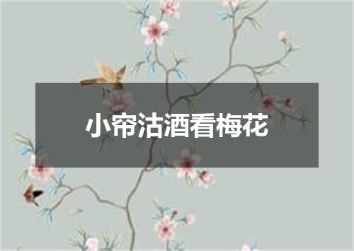 小帘沽酒看梅花