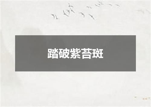 踏破紫苔斑