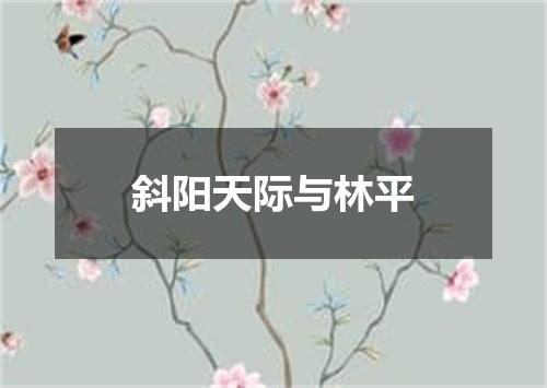 斜阳天际与林平