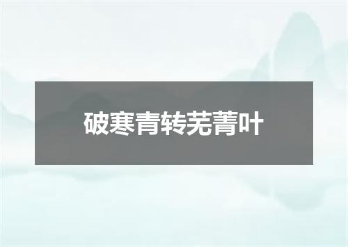 破寒青转芜菁叶