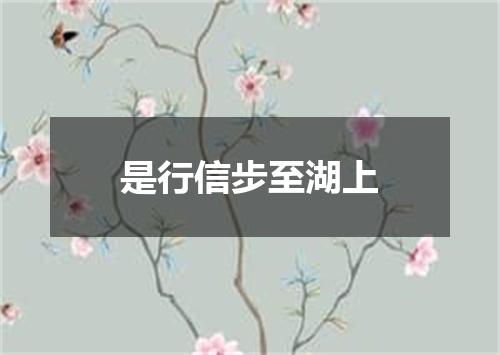 是行信步至湖上
