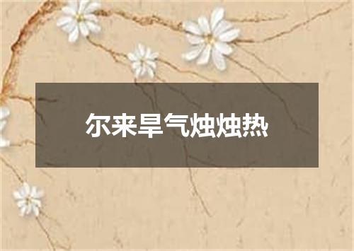 尔来旱气烛烛热