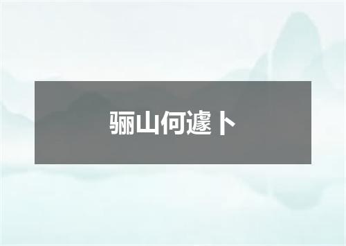 骊山何遽卜