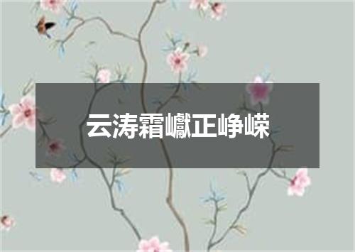 云涛霜巘正峥嵘
