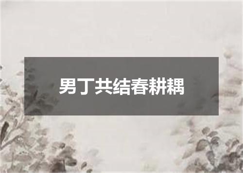男丁共结春耕耦