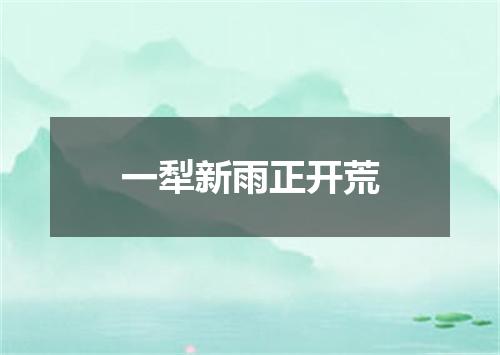 一犁新雨正开荒