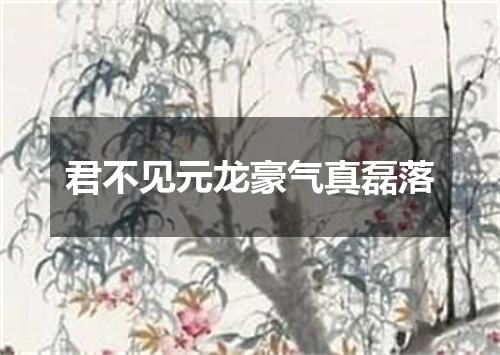 君不见元龙豪气真磊落