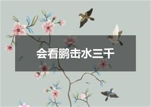 会看鹏击水三千