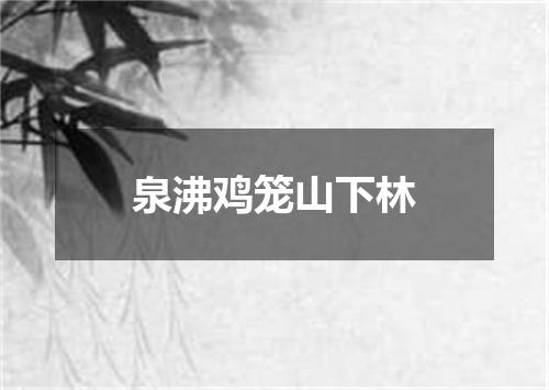 泉沸鸡笼山下林