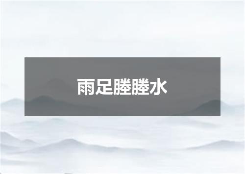 雨足塍塍水