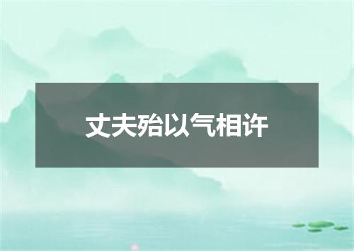 丈夫殆以气相许