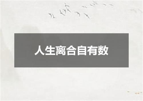 人生离合自有数