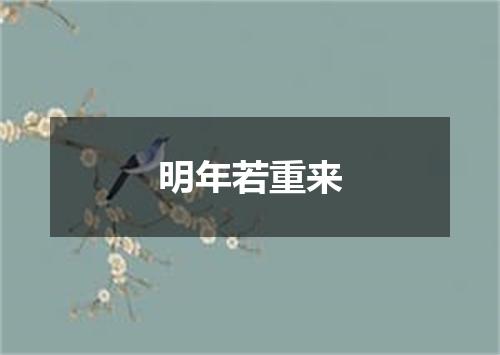 明年若重来