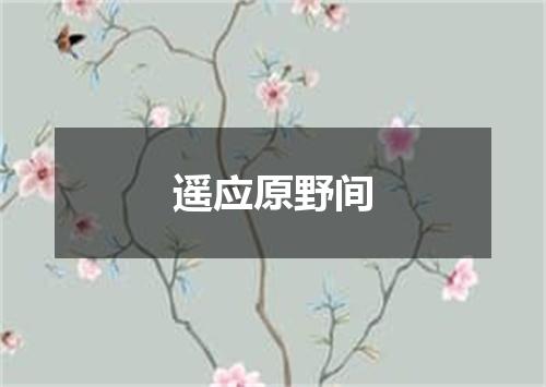 遥应原野间