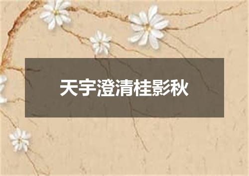 天宇澄清桂影秋