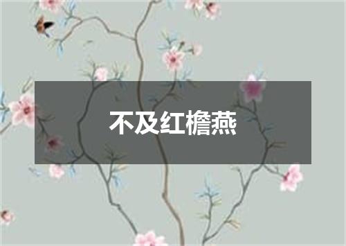 不及红檐燕