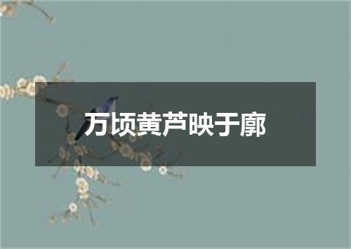 万顷黄芦映于廓