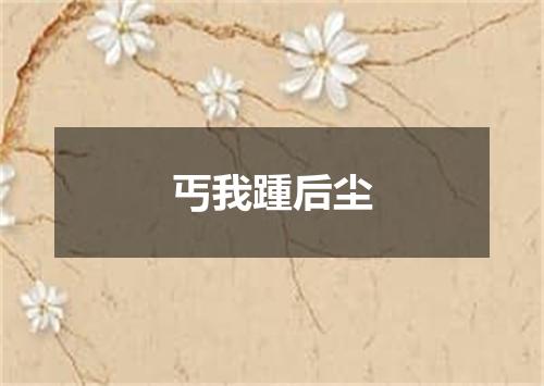 丐我踵后尘