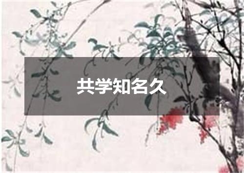 共学知名久