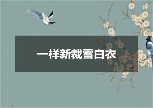 一样新裁雪白衣