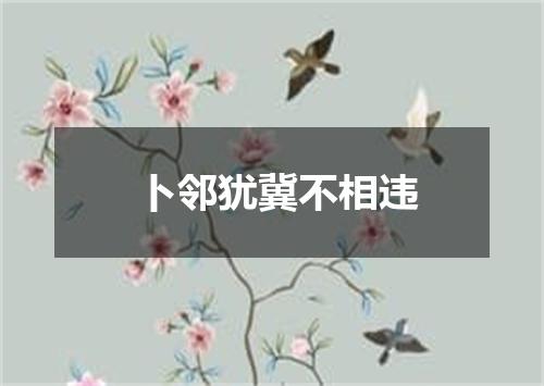 卜邻犹冀不相违