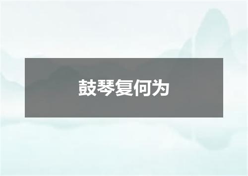 鼓琴复何为