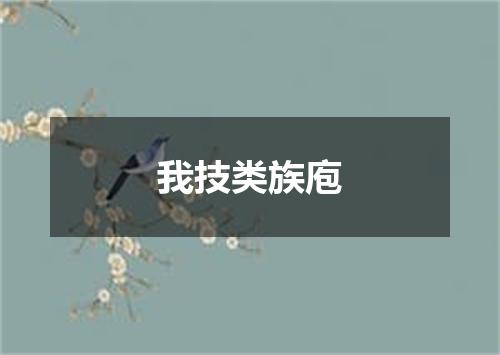 我技类族庖