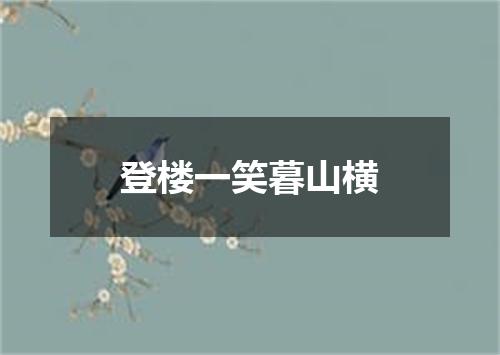 登楼一笑暮山横