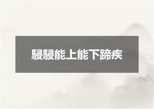 駸駸能上能下蹄疾