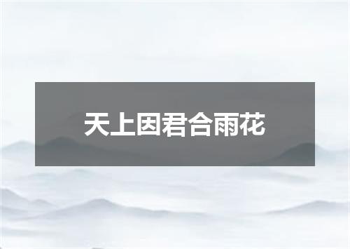 天上因君合雨花
