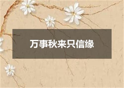 万事秋来只信缘
