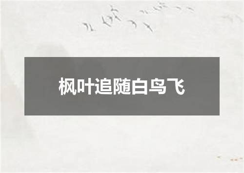 枫叶追随白鸟飞