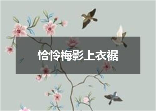 恰怜梅影上衣裾