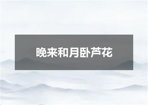 晚来和月卧芦花